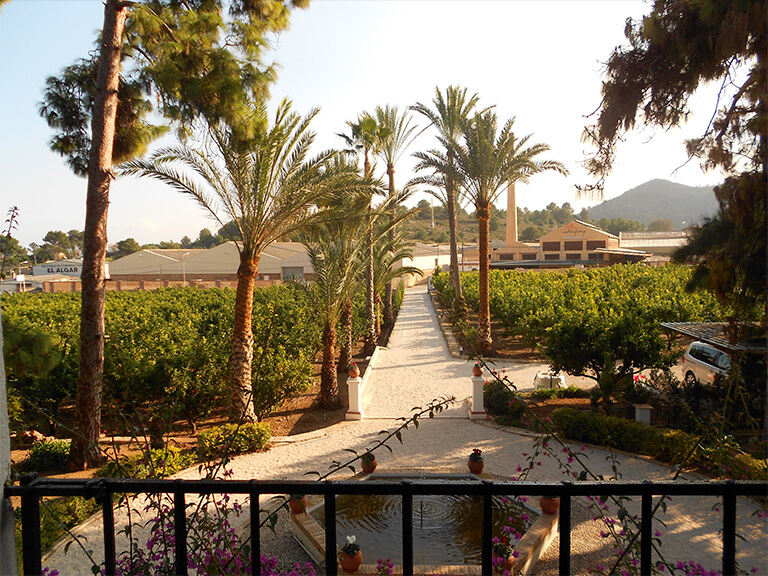 El jardín de una casa rural y hotel cerca de Oliva